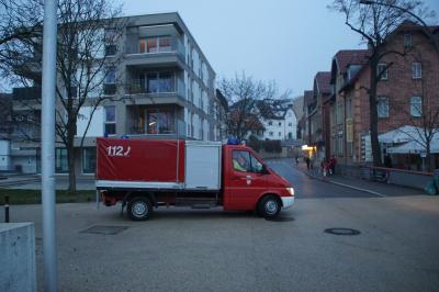 Boeblingen: 2 Kinder kippen Oel in den Oberen See in Boeblingen